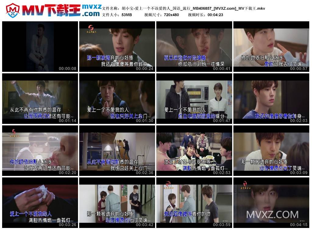 胡小宝-爱上一个不该爱的人_国语_流行_MB406857